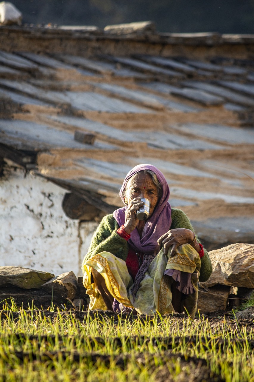 woman, farmer, farm-7046880.jpg